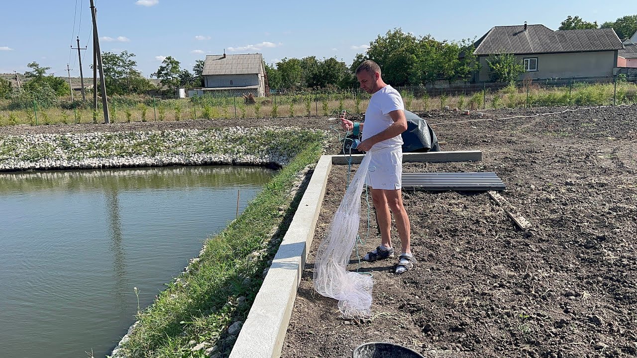 Astazi am prins pește la plasă
