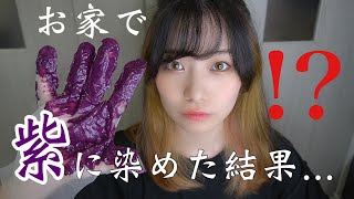 【セルフカラー】激安351円の商品で染めてみた！紫カラーバター【ヘアカラー】