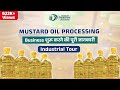 शुरू करे सरसो कच्ची घानी तेल बनाने का व्यवसाय || Start Mustard Oil Processing Business