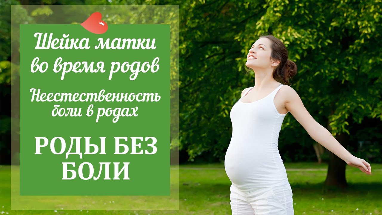 Шейка матки во время родов и неестественность боли в родах. Роды без боли - проф. Брехман