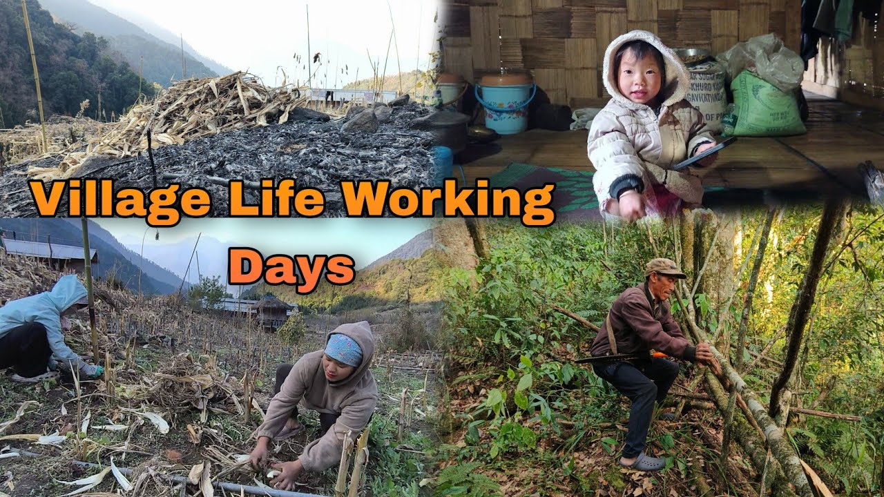 Arunachali Village Life Family Vlogs | Morning vlog village