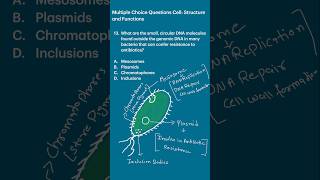 13-Multiple Choice Questions Cell: Structure and Functions #biologyshorts #cellbiology