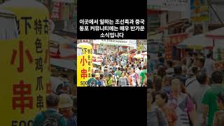 외국인 고용 확대? 조선족·중국 동포에게 희소식! #조선족 #외국인정책 #정치쇼츠
