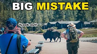 NEVER Do This! Biggest Mistakes to Avoid in Yellowstone National Park