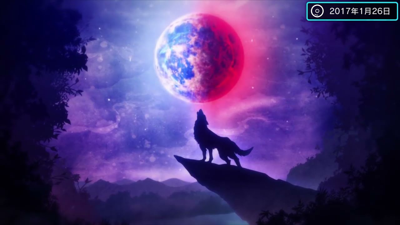 【Rejet PV recollections】-BLACK WOLVES SAGA- 2012,2017