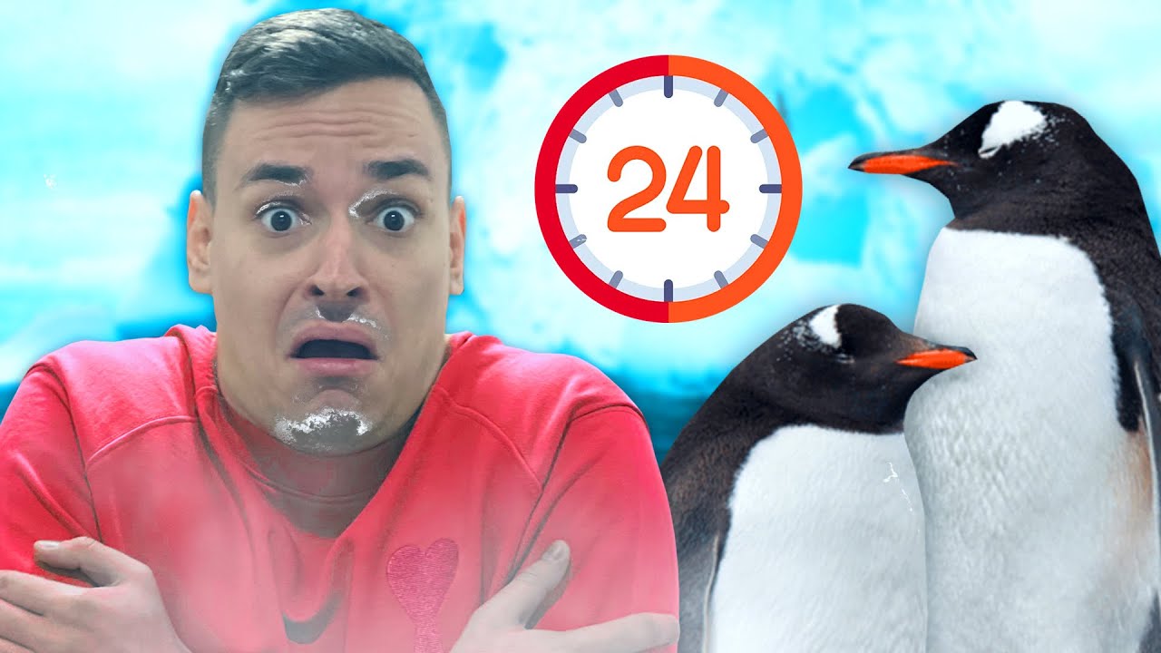 24-penguin-simulator-youtube