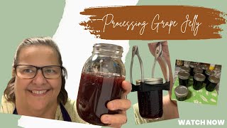 Concord Grape Jelly: How To Preserve Your Harvest