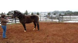Fundamental Groundwork Part 1