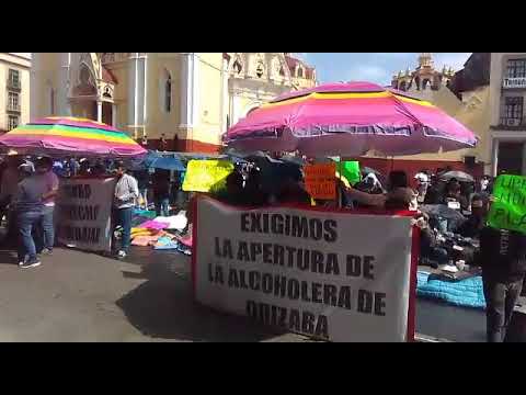 Trabajadores alcoholeras reclaman a FGR y a la 4T el cierre de su fuente de Trabajo en Veracruz .