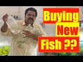 Buying New Fish for Aquarium | Mayur Dev's Tips | How to Buy New Fish Home Aquarium Setup HD1080p