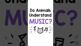 Does your pet like pop music? #science #shorts #animals #pets