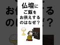 仏壇にご飯をお供えするのはなぜ?#shorts#仏教#仏飯#ご飯#お供え