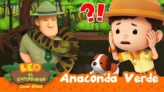 ¿¡ENREDADO POR UNA ENORME SERPIENTE?!  | Anaconda Verde | Leo, El Explorador | Animación  Familia