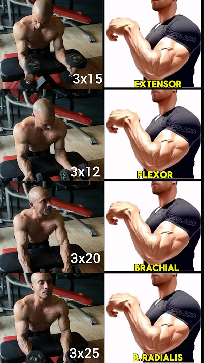 “Best Forearm Workout Variations for Bigger, Stronger Arms!”#shorts #fitness #motivation