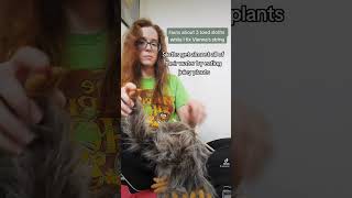 fun facts fun facts #puppet #puppetsofyoutube #sloth