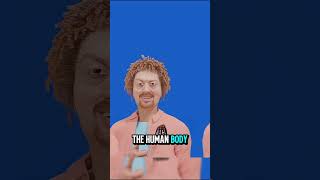 What If Your Bones Were Made of LEGO? #WhatIf #ScienceFacts #WeirdScience #HumanBody