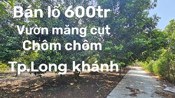 Vườn trái cây long khánh Đồng nai Lổ lắm nhưng phải bán vì kẹt tiền, vườn cây mê quá.