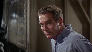 Paul Newman  Cool Hand Luke (1967)  |  Unusual Persona | An OscarWinning Classic Movie
