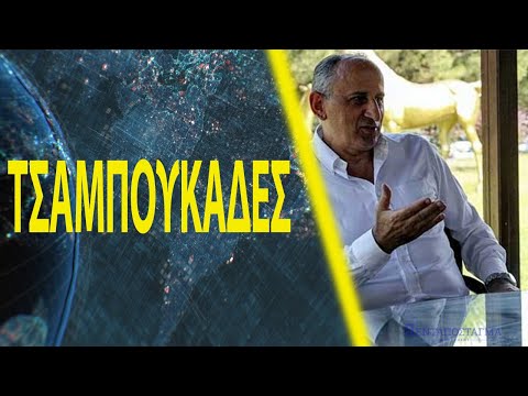 Βίντεο: Τουρκικό φορτηγό: φωτογραφία μιας γάτας, περιγραφή της φυλής, χαρακτήρας και συνήθειες, κριτικές ιδιοκτητών, επιλογή γατάκι βαν