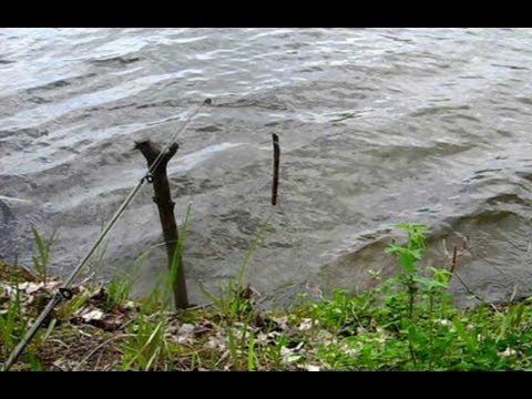 Рыбалка на пенопласт. Подсечка