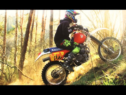 HONDA XR 600