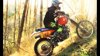 HONDA XR 600  In action