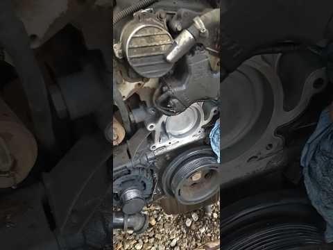 Mercedes sprinter. #shortvideo #automobile #mechanic #car #mercedes #germany #repair