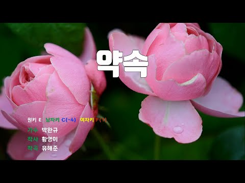 [은성 반주기] 약속 - 박완규