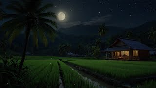 Cricket Chirps & Soft Rain Sounds | ASMR Sleep Ambience, relaxing, for sleep and study screenshot 4