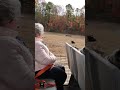 black Buck's