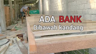 Kandang kambing ternyata ada banknya bisa deposit lagi // kandang minimalis // kandang SNI