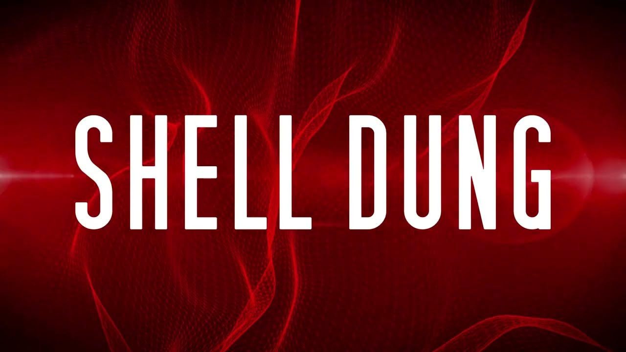 Watch DJ FELIXZ - Shell Dung (Official Audio) on YouTube Watch DJ FELIXZ - Shell Dung (Official Audio) on YouTube