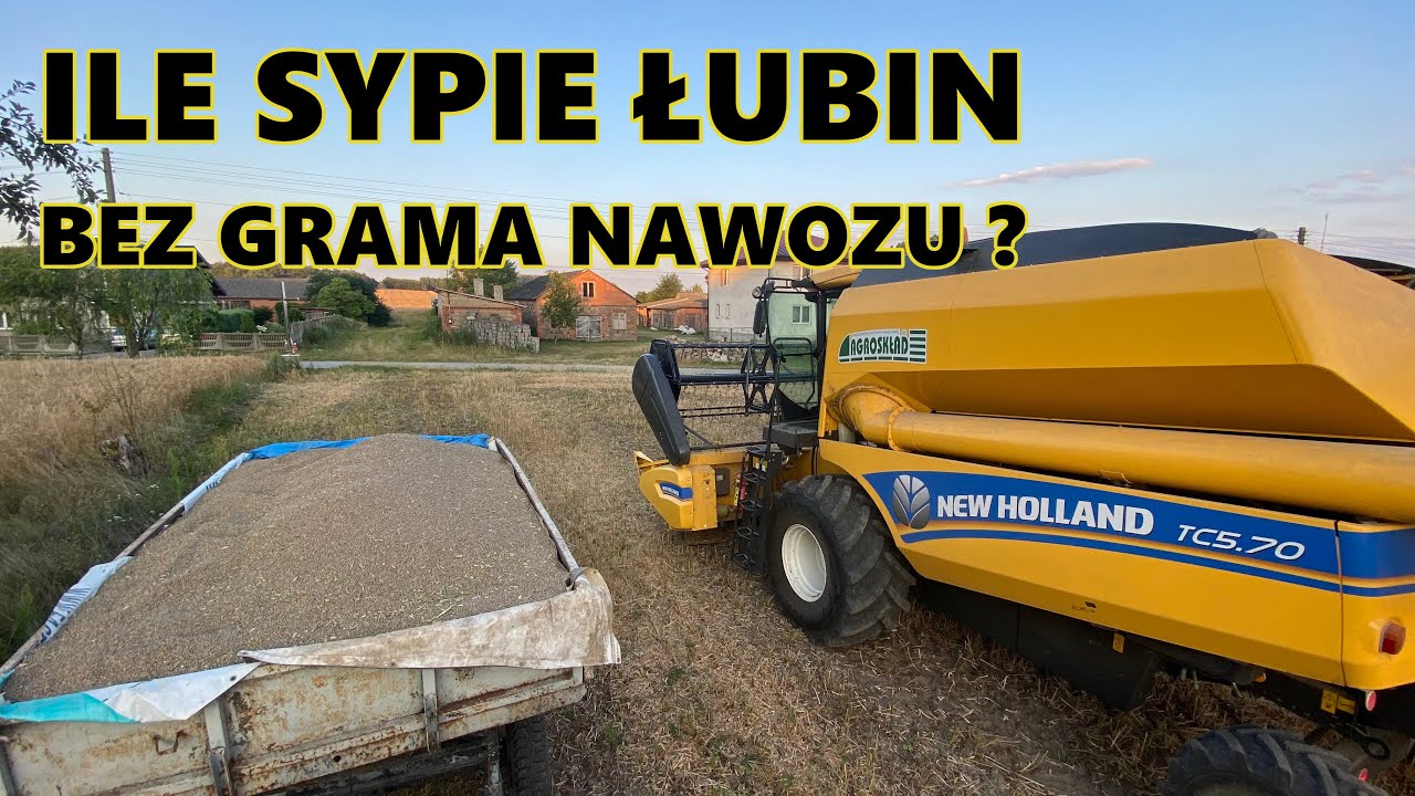 JAK SYPIE ŁUBIN SIANY 1 MARCA ? MÓWILI ŻE ZMARŹNIE - CO WYSZŁO ?