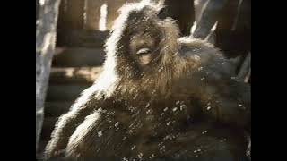 Miller Commercial