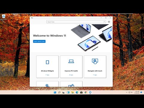 How to Fix All Issue Windows Media Player Issue in Windows 11