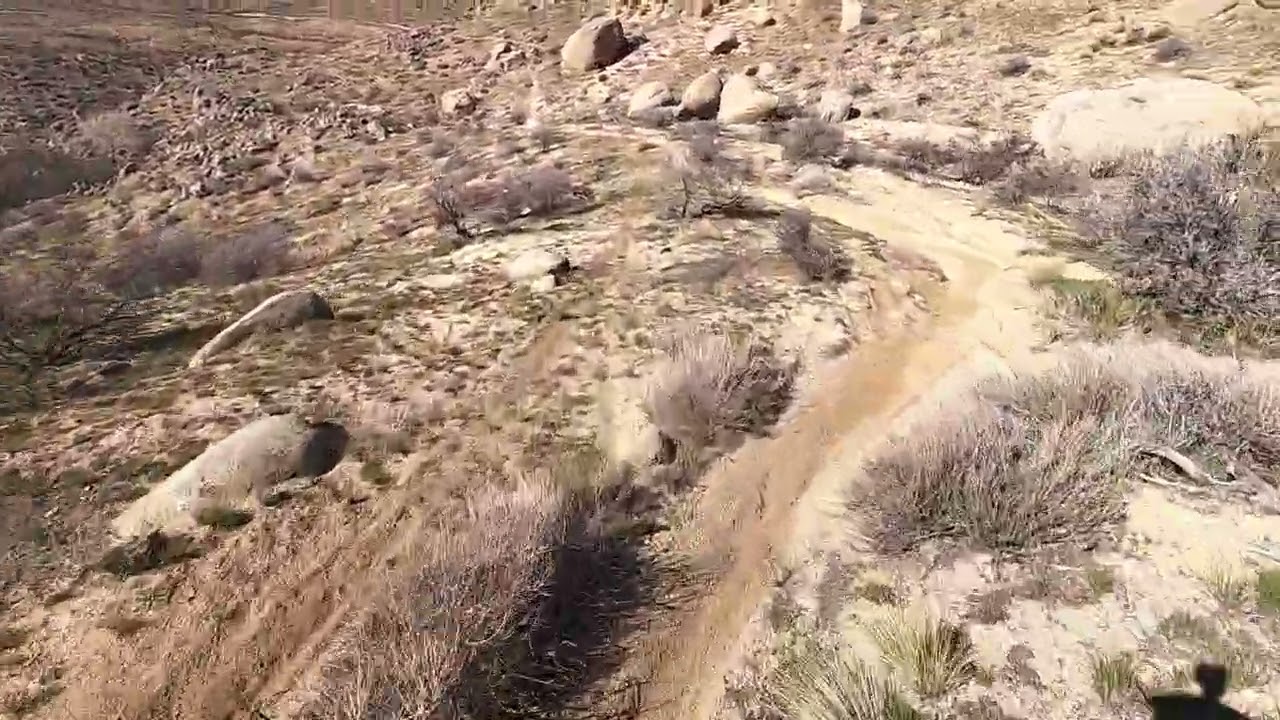 HIGH DESERT RIDE