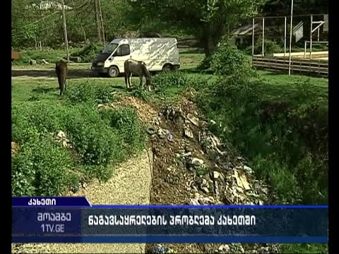 თელავისა და გურჯაანის რაიონში ნაგავსაყრელების არარსებობას აპროტესტებენ