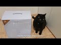 Умная кормушка для кошек Xiaomi Furrytail Smart Pet Feeder Почти обзор!!!