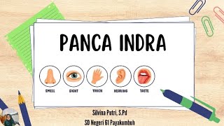 Panca Indra Manusia || Materi Kelas IV SD