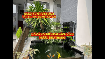 TẬP 51 - CÁ KOI XUYÊN VIỆT 2023 - HỒ CÁ KOI HIỆN ĐẠI VÁCH KÍNH NƯỚC SIÊU TRONG - TP.PLEIKU - GIA LAI