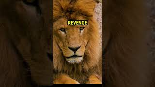 Sigma Rulebadle Ki Aag