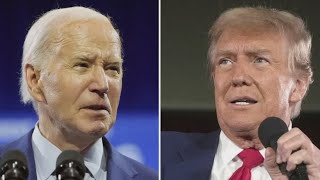 President Joe Biden, Donald Trump have agreed to 2 one-on-one debates