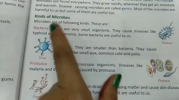 Class 4 th chapter-6 Teeth and microbes part 3