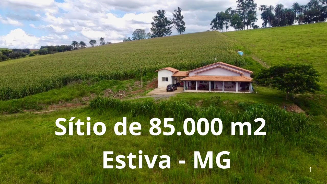 Com casa de 3 quartos,linda baixada, Curral e Próx a Rodovia.