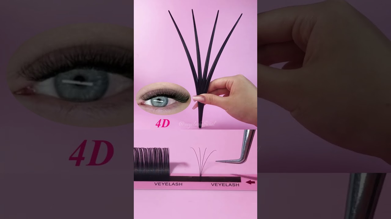 3D Lash Model Display