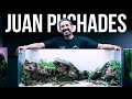 Planted tank legends  juan puchades aquascaping workshop