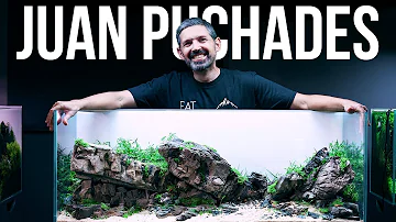 Planted Tank Legends - Juan Puchades Aquascaping Workshop