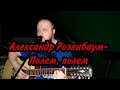 Розенбаум - Полем, полем. Кавер