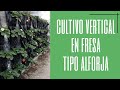 Cultivo vertical en fresa tipo Alforja | Construcción