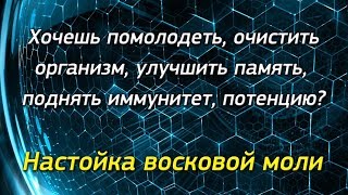 Огневка. Настойка восковой моли ПЖВМ. Проект 